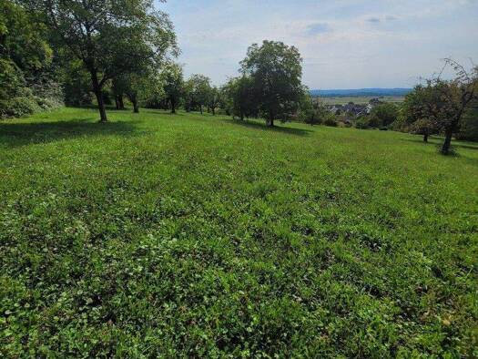 Land-/Forstwirtschaft zum Kauf 14.972 € 2.907 m² Grundstück Fischingen 79592