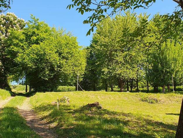 Land-/Forstwirtschaft zum Kauf 189.000 € 5.243 m² Grundstück Pallertshausen Pfaffenhofen an der Ilm 85276