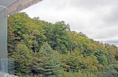 Wohnung zum Kauf 72.500 € 2 Zimmer 52 m² frei ab sofort Bad Harzburg Bad Harzburg 38667
