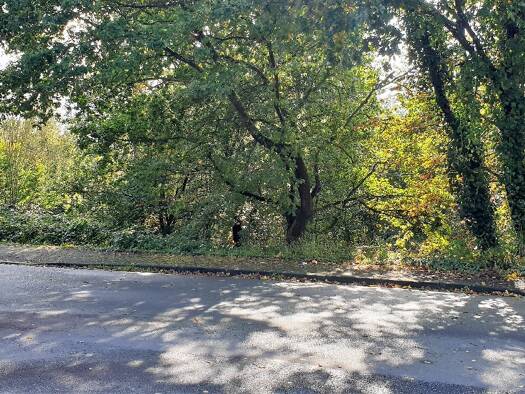 Grundstück zum Kauf 285.000 € 2.700 m² Grundstück Herchen Windeck 51570