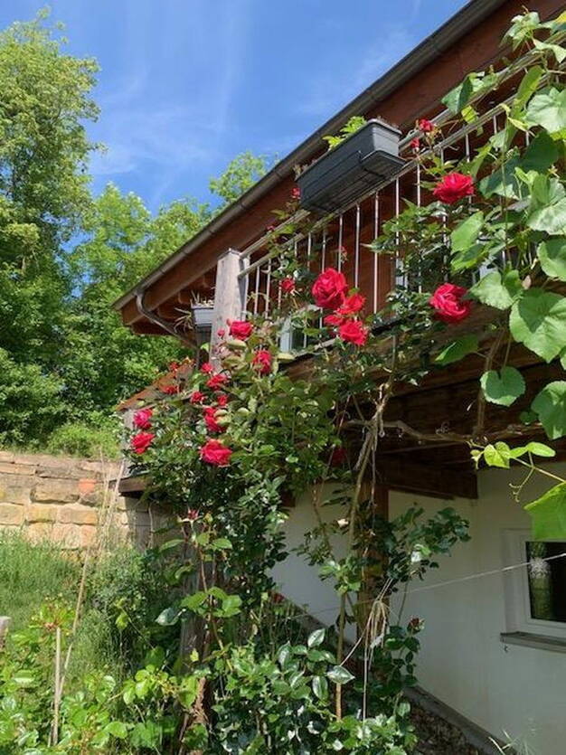 Einfamilienhaus zum Kauf provisionsfrei 805.000 € 8 Zimmer 270 m² 1.829 m² Grundstück Schottenstein Itzgrund 96274