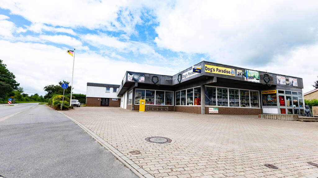 Mehrfamilienhaus zum Kauf 298.000 € 7 Zimmer 185 m² 1.815 m² Grundstück Pahlen 25794