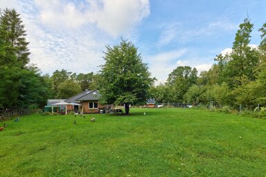 Bungalow zum Kauf 1.149.000 € 5 Zimmer 152 m² 3.338 m² Grundstück Trelde Buchholz in der Nordheide 21244