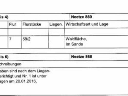 Grundstück zum Kauf provisionsfrei 40.000 € 21.122 m² Grundstück Neu Neetze Neetze 21398
