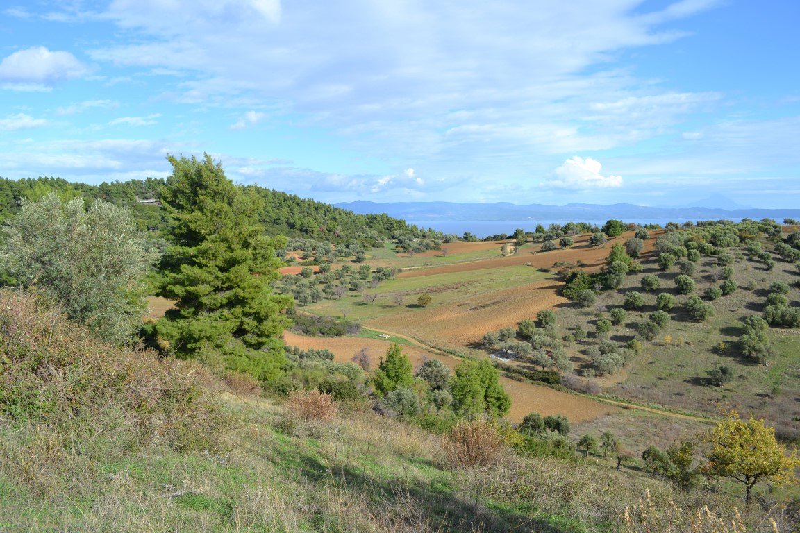 Land-/Forstwirtschaft zum Kauf 75.000 € 7.200 m²<br/>Grundstück Chalkidiki