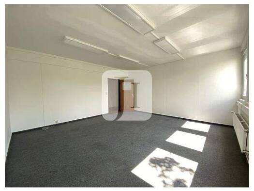 Lagerhalle zur Miete 25 m² Lagerfläche Hamm Hamburg 20537