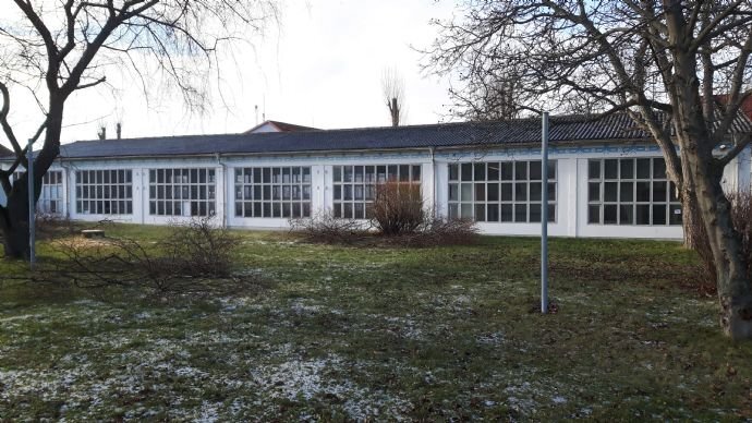 Lagerhalle zur Miete provisionsfrei 1.050 € 460 m²<br/>Lagerfläche Nikolaus-Otto-Straße Halberstadt Halberstadt 38820