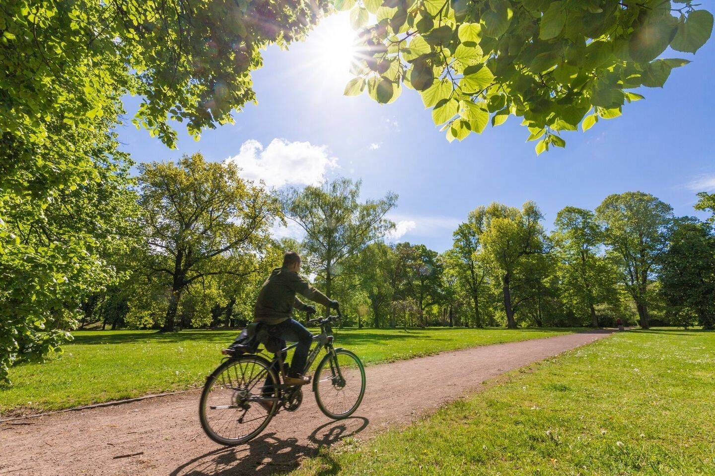 Property thumbnail 14