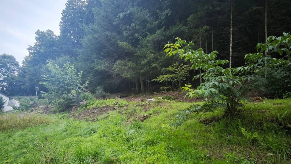 Grundstück zum Kauf 252.000 € 1.283 m² Grundstück Brombach Eberbach 69434