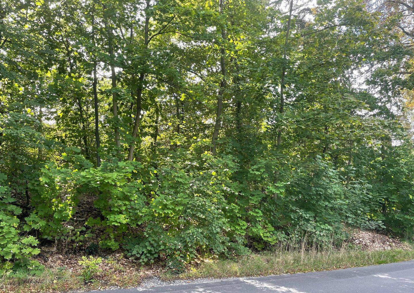 Klassische Baulücke in Höhenlage von Heidenau