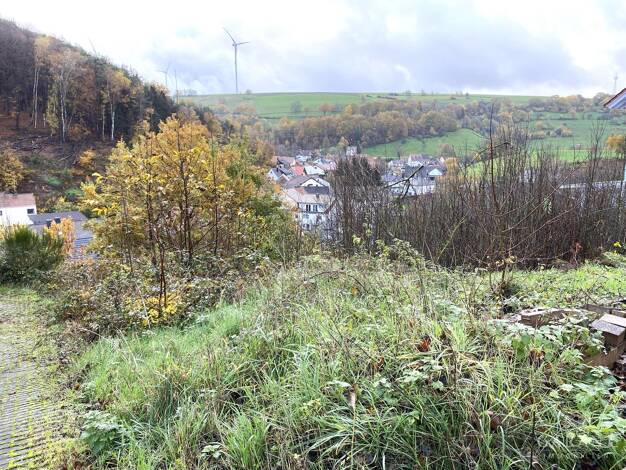 Grundstück zum Kauf 59.000 € 704 m² Grundstück Obernheim-Kirchenarnbach 66919