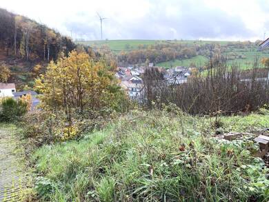 Grundstück zum Kauf 59.000 € 704 m² Grundstück Obernheim-Kirchenarnbach Obernheim-Kirchenarnbach 66919