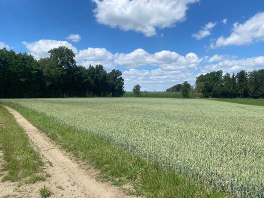 Land-/Forstwirtschaft zum Kauf 174.138 € 15.976 m² Grundstück Neustadt Neustadt a.d.Donau 93333
