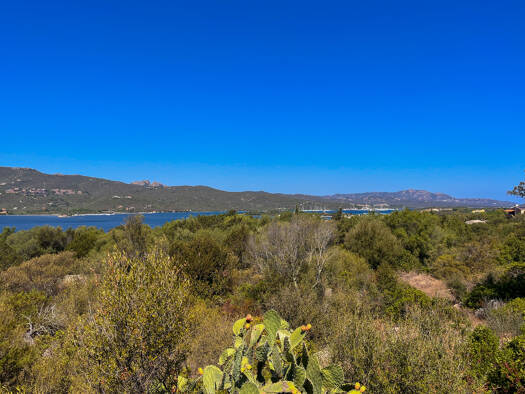 Einfamilienhaus zum Kauf 1.200.000 € 9 Zimmer 180 m² 2.500 m² Grundstück Olbia 07026