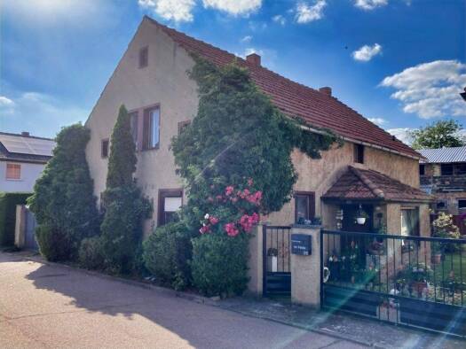 Einfamilienhaus zum Kauf 79.000 € 3 Zimmer 100 m² 8.117 m² Grundstück Lengefeld Sangerhausen 06526