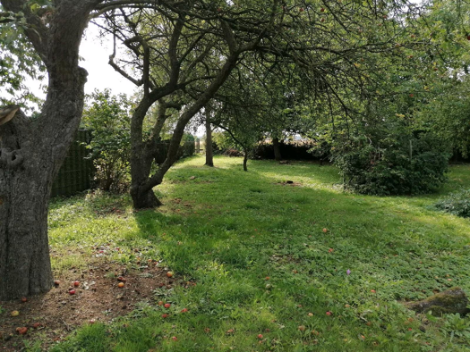 Grundstück zum Kauf 315.000 € 950 m² Grundstück Kühlungsborn 18225