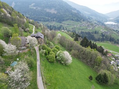 Land-/Forstwirtschaft zum Kauf 438.599 m² Grundstück Radenthein 9545