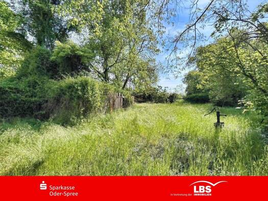 Einfamilienhaus zum Kauf 398.000 € 5 Zimmer 185,3 m² 7.750 m² Grundstück Letschin 15324