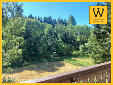 Wohnung zum Kauf 96.000 € 2 Zimmer 40 m² EG Liemeckeweg 3 Elkeringhausen Winterberg 59955
