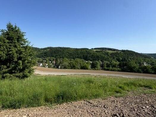 Freizeitgrundstück zum Kauf 58.500 € 650 m² Grundstück Hellenthal Hellenthal 53940