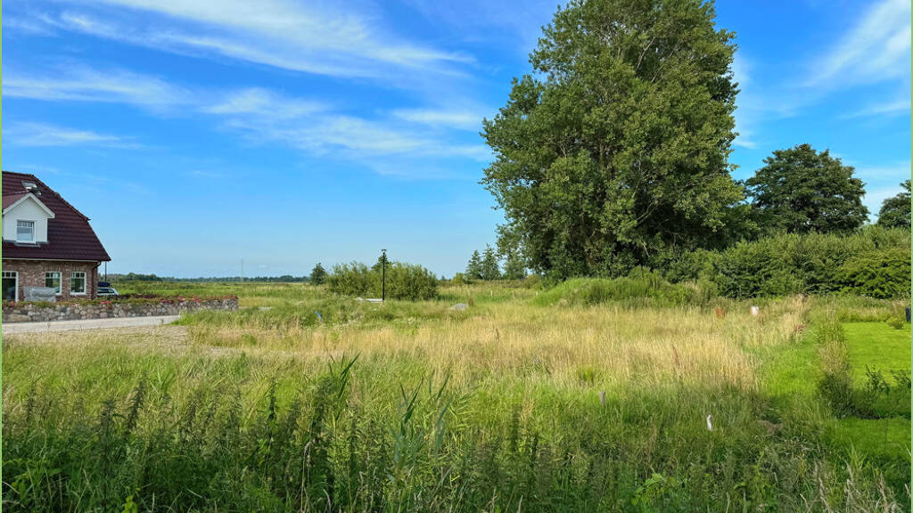 Grundstück zum Kauf 165.000 € 815 m² Grundstück Tetenbüll 25882