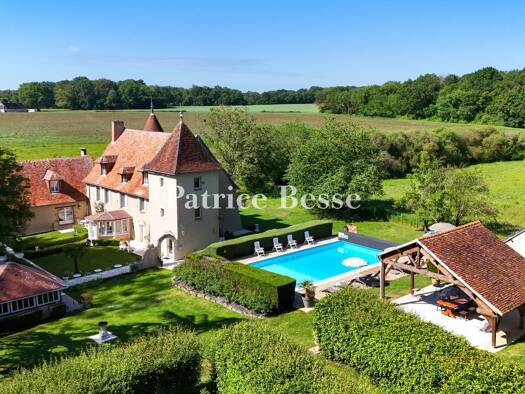Schloss zum Kauf 795.000 € 10 Zimmer 60 m² 13.322 m² Grundstück Valençay 36600