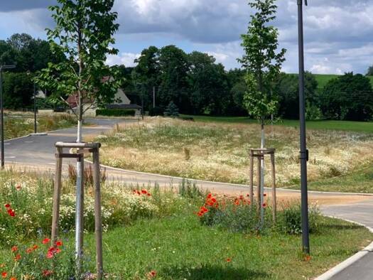 Grundstück zum Kauf 132.750 € 531 m² Grundstück Pulsnitz 01896