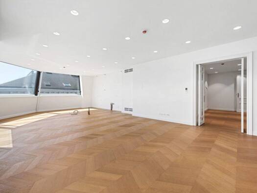 Wohnung zum Kauf - Erstbezug 7.099.000 € 4 Zimmer 250 m² 5. Geschoss Wien 1010