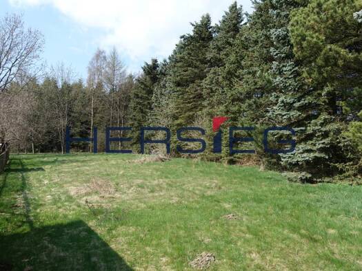 Grundstück zum Kauf 45.000 € 2.276 m² Grundstück Bärenstein 09471