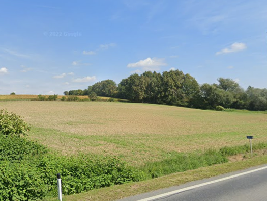 Land-/Forstwirtschaft zum Kauf 53.000 € 17.186 m² Grundstück Bocksdorf 7553