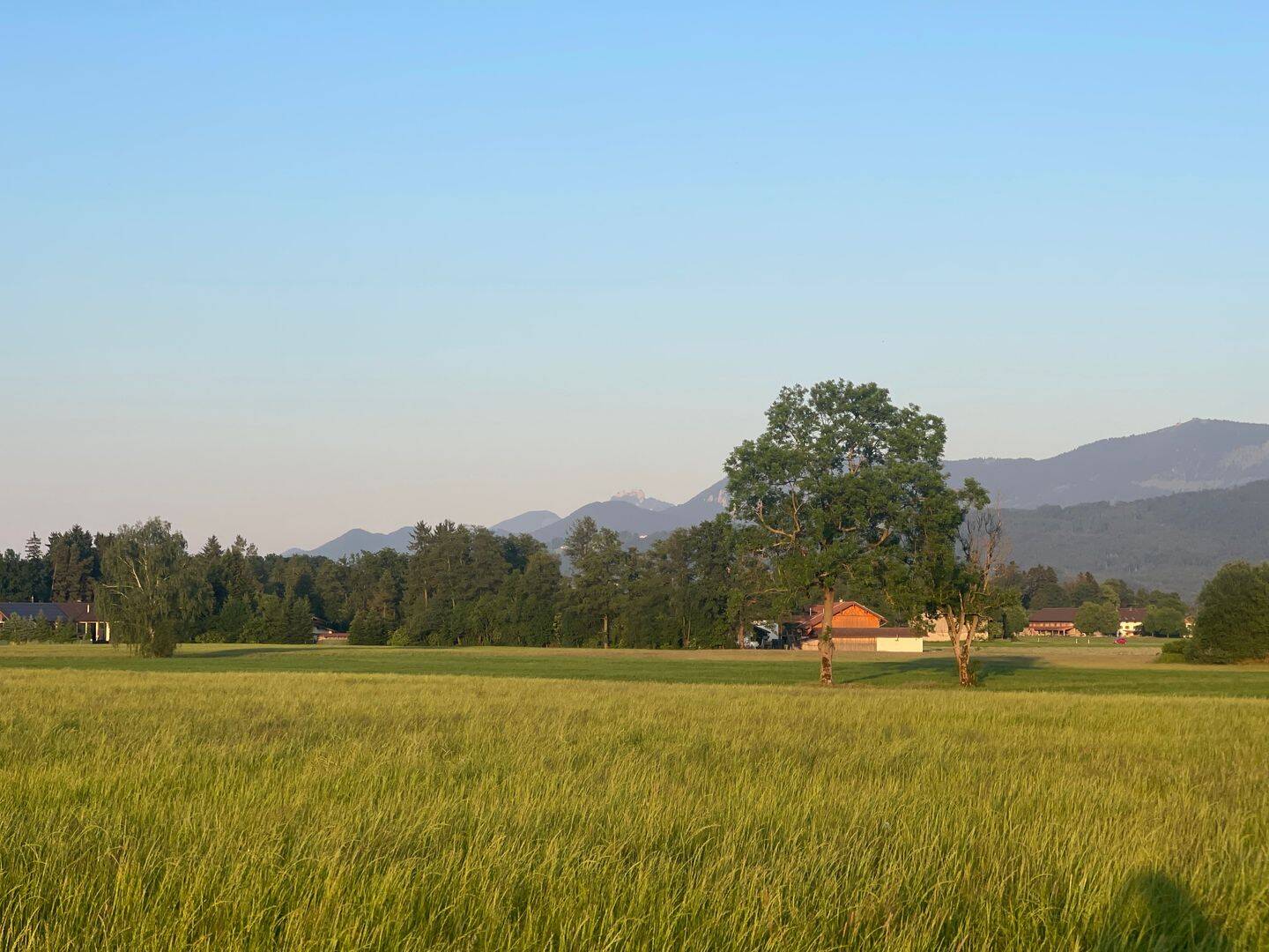 Land-/Forstwirtschaft zum Kauf - Ansicht 4