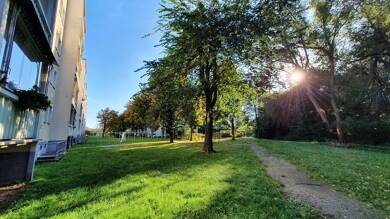 Wohnung zur Miete 200 € 1 Zimmer 29,7 m² 1. Geschoss frei ab sofort Max-Müller-Str. 34 Zittau Zittau 02763