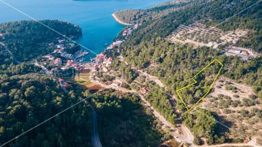 Land-/Forstwirtschaft zum Kauf 45.000 € Grscica Korcula center