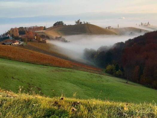 Haus zum Kauf 1.500.000 € 7 Zimmer 197 m² 43.363 m² Grundstück Gamlitz 8462