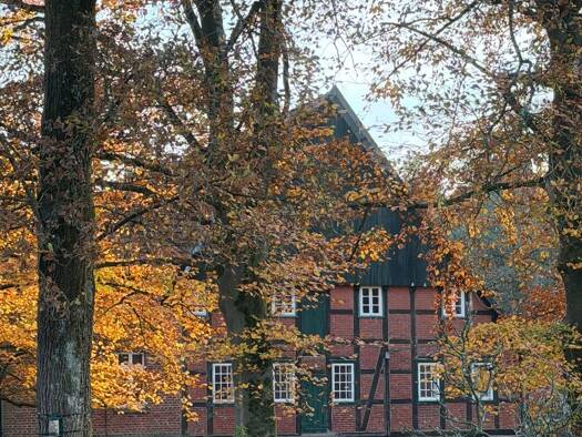 Wohnung zur Miete 950 € 4 Zimmer 180 m² Geschoss -1/2 frei ab sofort Brockhagen Steinhagen 33803