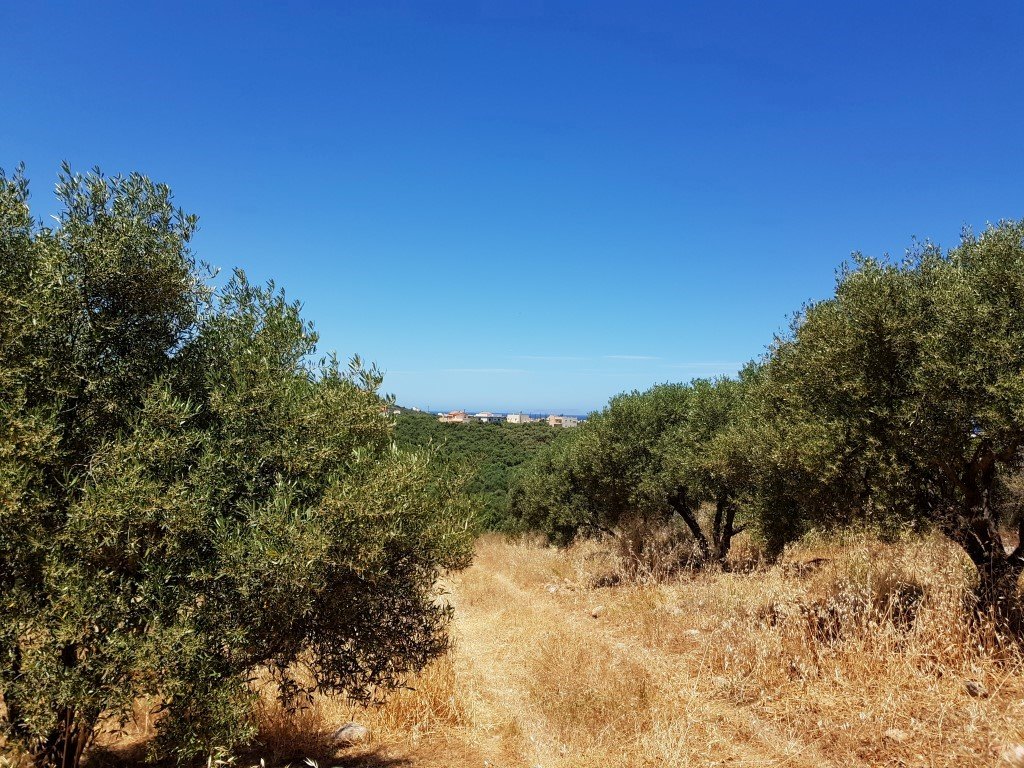 Land-/Forstwirtschaft zum Kauf 80.000 € 3.700 m²<br/>Grundstück Kreta