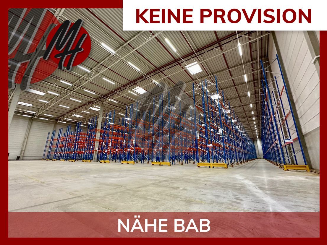 Lagerhalle zur Miete provisionsfrei 4.000 m²<br/>Lagerfläche Bischofsheim 65474