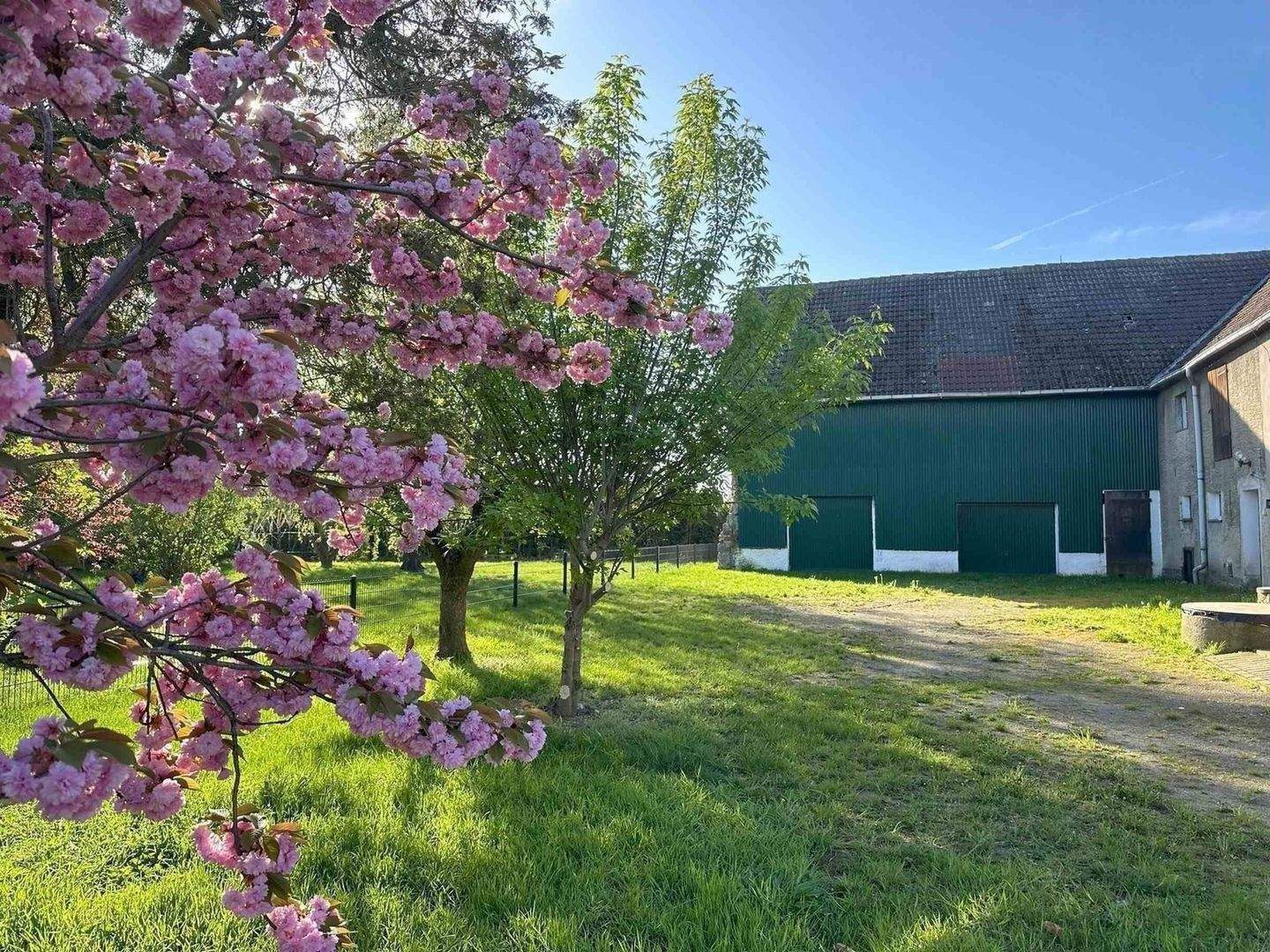 Immobilie in Machern - Großes, ländliches EFH mit Scheune und großem Garten  - Bild 0