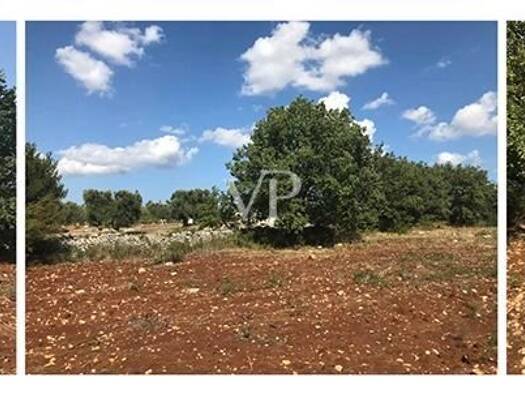 Grundstück zum Kauf 29.000 € 8.300 m² Grundstück frei ab sofort Contrada Colacurto Snc Carovigno 72012