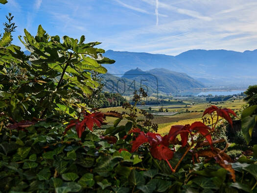 Haus zur Miete 5 Zimmer 392 m² 500 m² Grundstück Kaltern 39052