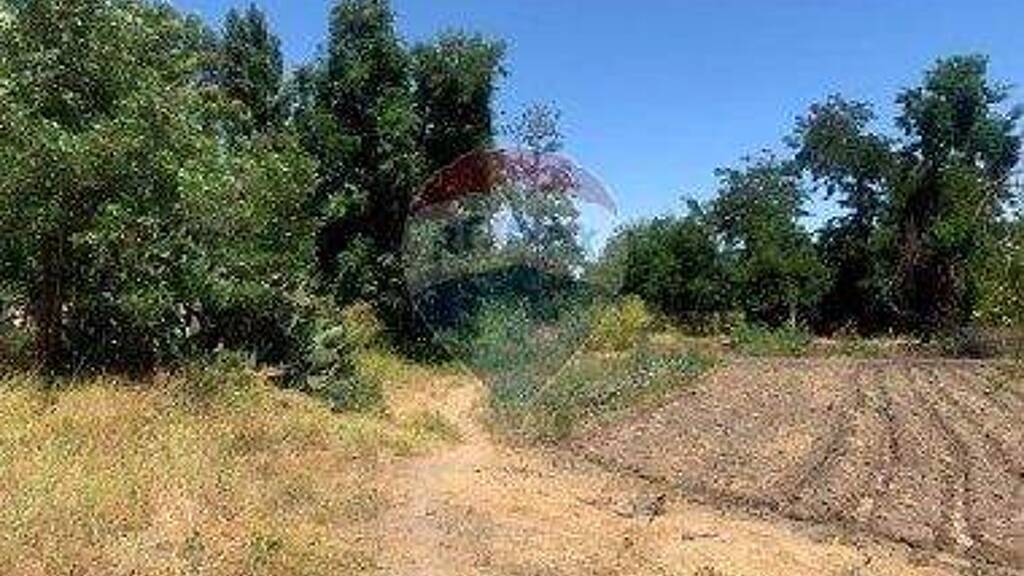 Büro zum Kauf 35.000.000 € Las Cabras