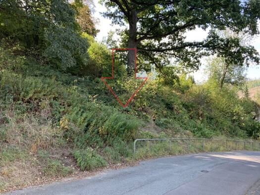 Grundstück zum Kauf 39.900 € 1.000 m² Grundstück Sängerloh 4 Finnentrop 57413