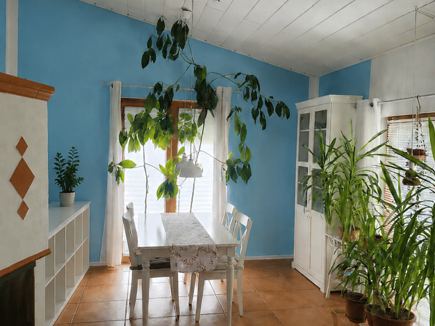Wohnung zur Miete 850 € 3 Zimmer 92 m² frei ab 15.09.2026 Euren Trier 54294
