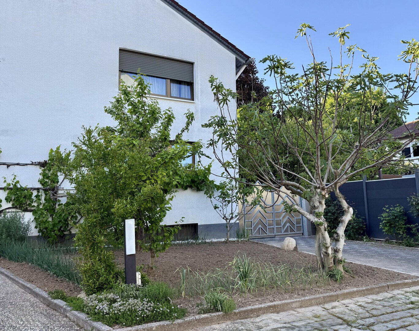 Mehrfamilienhaus zum Kauf - Widok 2
