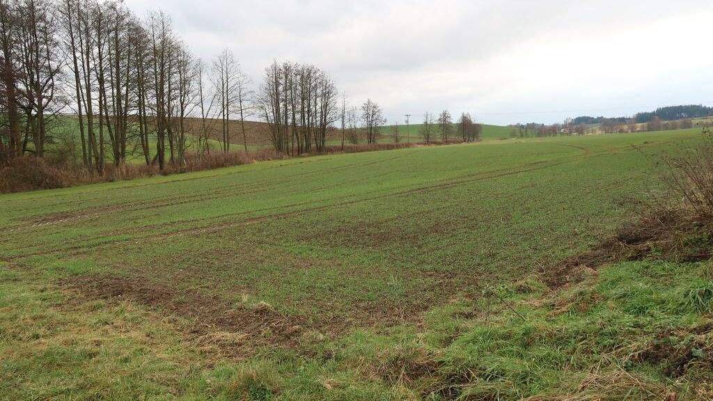 Land-/Forstwirtschaft zum Kauf 149.000 € 18.174 m² Grundstück Neudeck Baierbach 84171