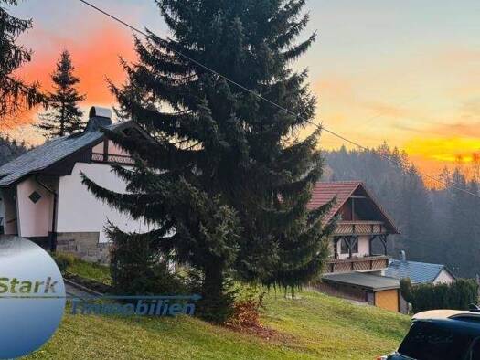 Einfamilienhaus zum Kauf 99.000 € 3 Zimmer 70 m² 1.481 m² Grundstück frei ab sofort Am Wald 06 Oberzwota Zwota 08267