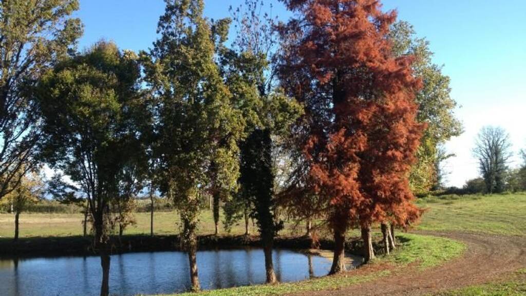 Bauernhaus zum Kauf 1.300.000 € 30 Zimmer 1.800 m² 15.000 m² Grundstück frei ab sofort Gardasee