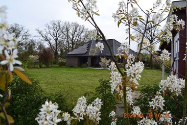 Bungalow zum Kauf provisionsfrei 520.000 € 4 Zimmer 138 m² 1.991 m² Grundstück Kleinenborstel Martfeld 27327