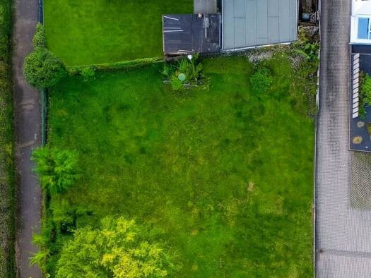 Grundstück zum Kauf 285.000 € 530 m² Grundstück Wiesloch Wiesloch 69168