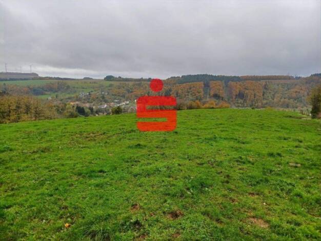 Land-/Forstwirtschaft zum Kauf 28.000 € 18.976 m² Grundstück Mettendorf 54675